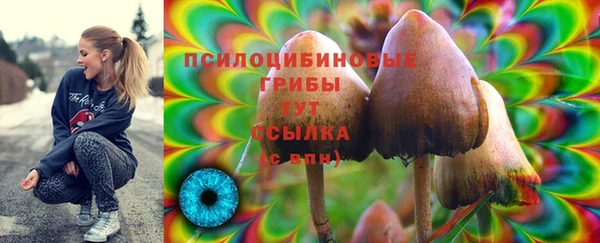 2c-b Вязники