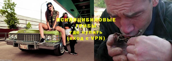 герыч Вяземский