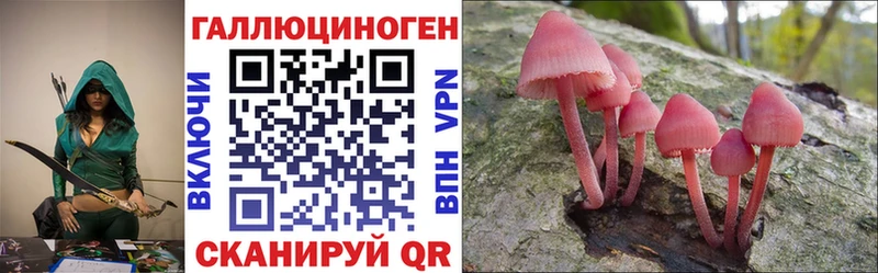 МЕГА зеркало  Кемерово  Псилоцибиновые грибы Cubensis  купить наркоту 