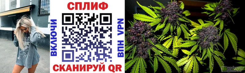 даркнет официальный сайт  закладки  Кемерово  Шишки марихуана конопля 